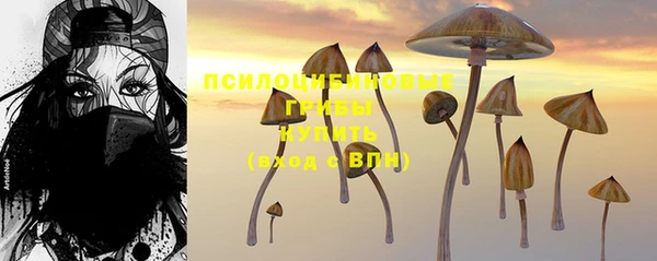 соль ск Заволжск