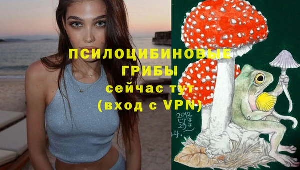 соль ск Заволжск